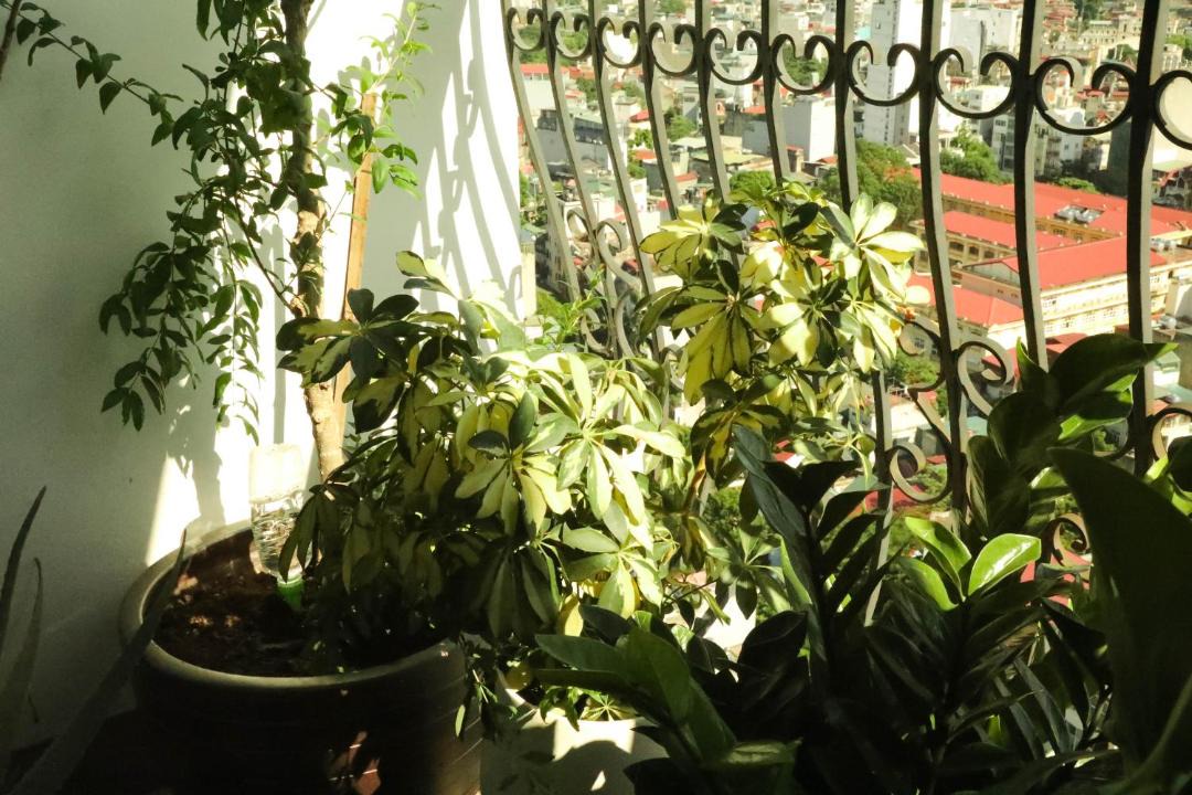 Photo of Others in Truc Bach