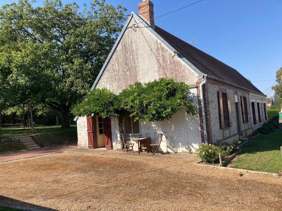 Photo of Buildings in Montigny-le-Chartif