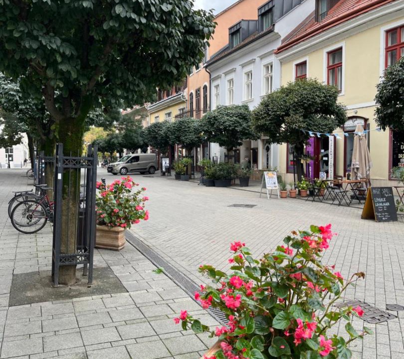 Photo of Others in Gyor