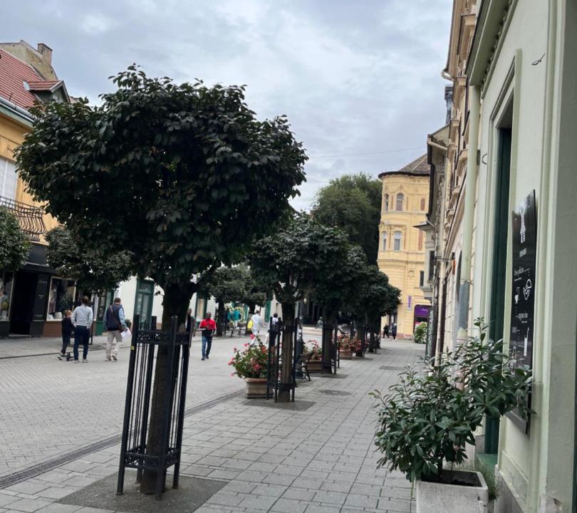 Photo of Others in Gyor