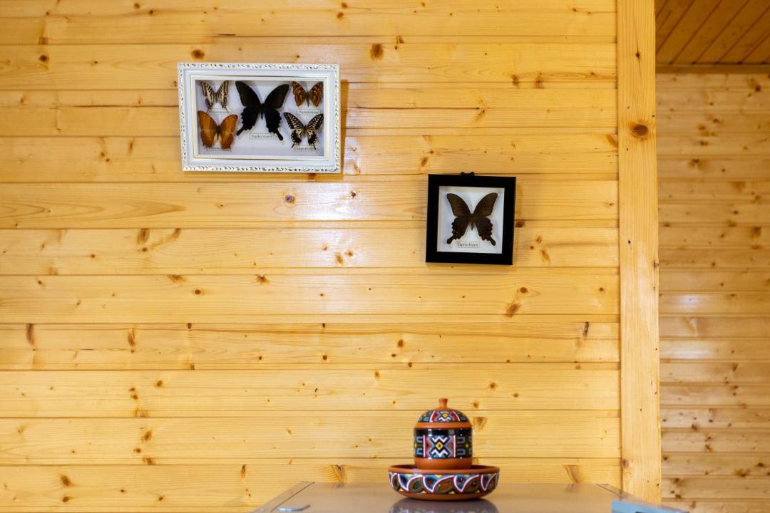 Photo of Bathroom in Zugdidi