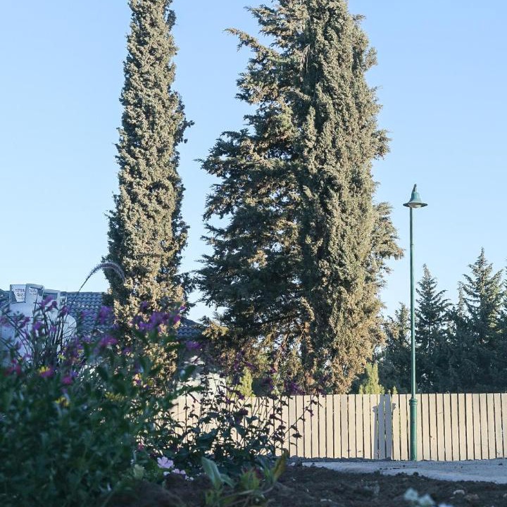 Photo of Others in El-Rum
