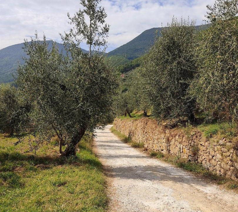 Photo of Outdoor in Calci