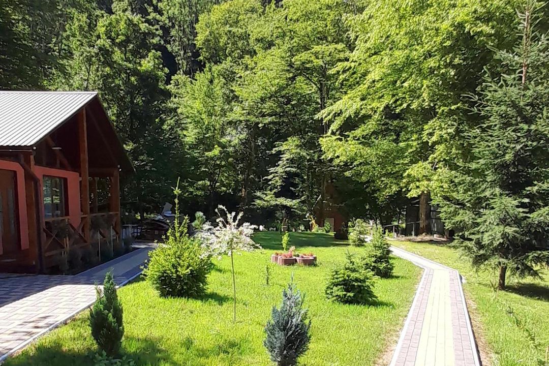 Photo of Buildings in Transcarpathia