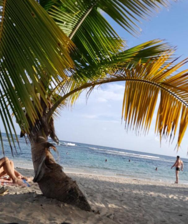 Photo of Outdoor in L'Autre-Bord