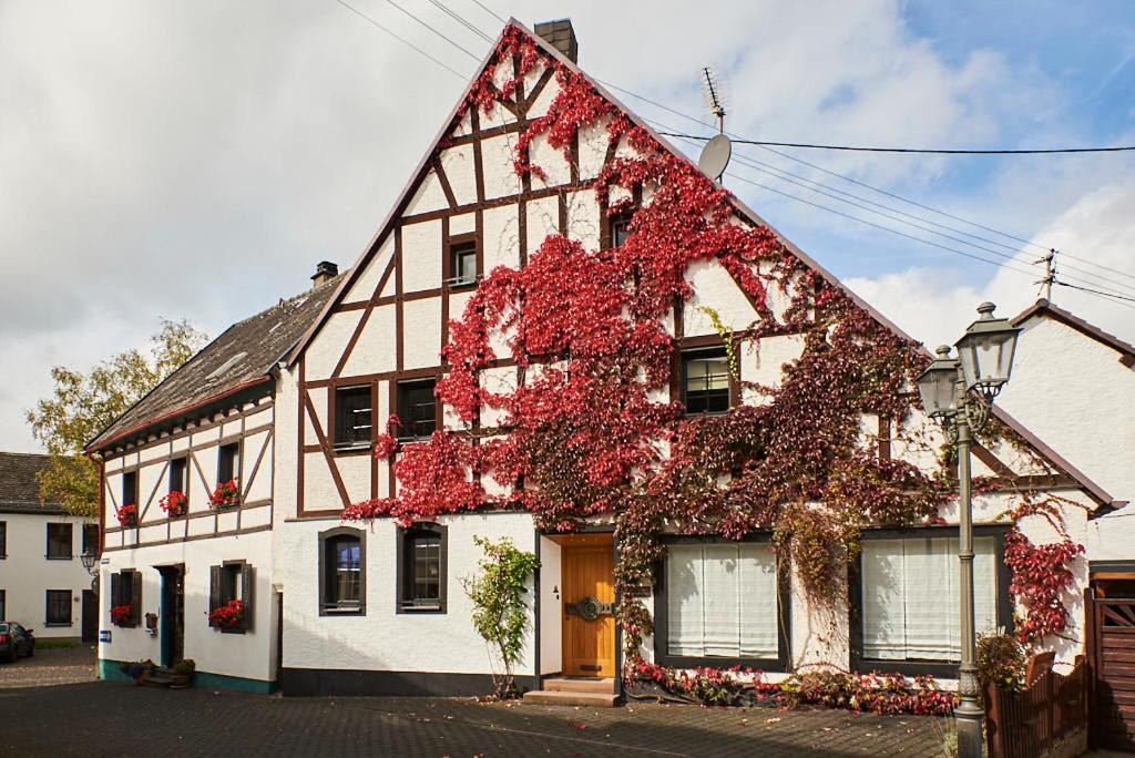 Photo of Buildings in Manderscheid