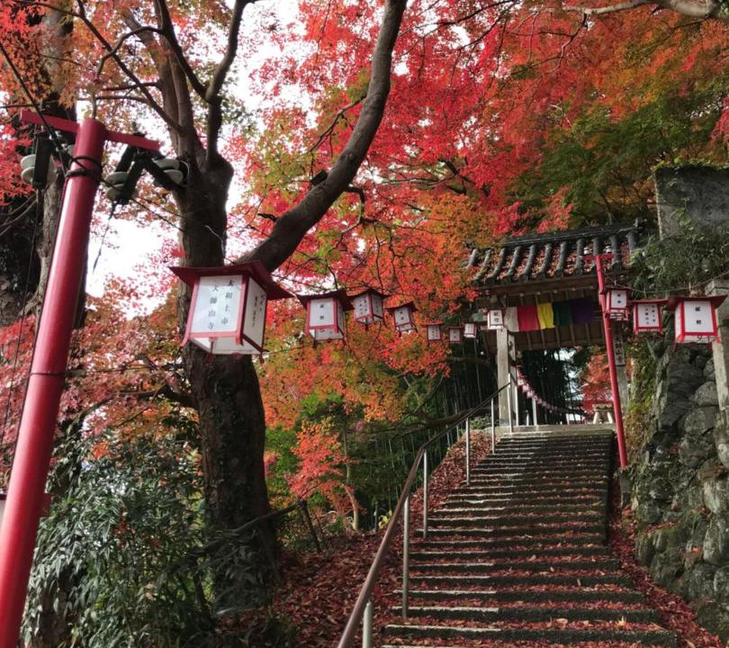 Photo of Others in Yoshino