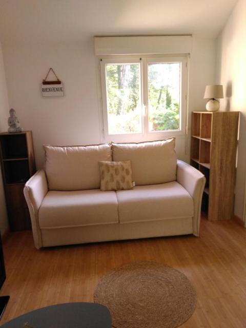 Photo of Livingroom in Pleneuf-Val-Andre