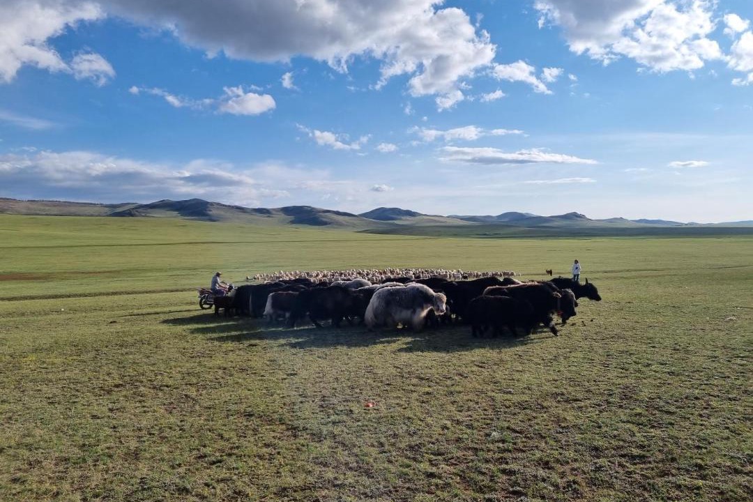 Photo of Others in Ulaanbaatar