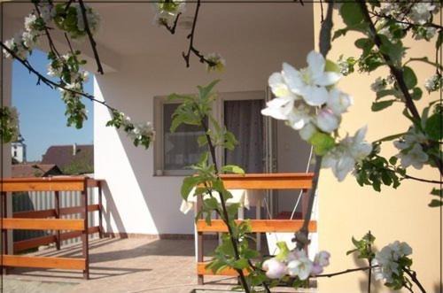 Photo of Patio Balcony in Abadszalok