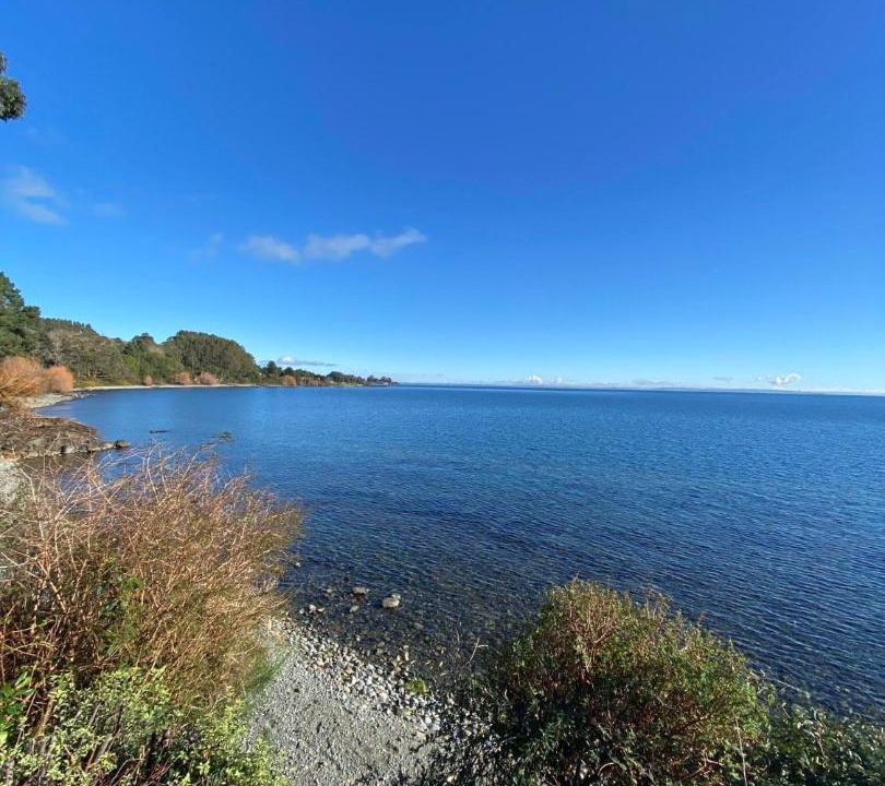 Photo of Others in Puerto Varas