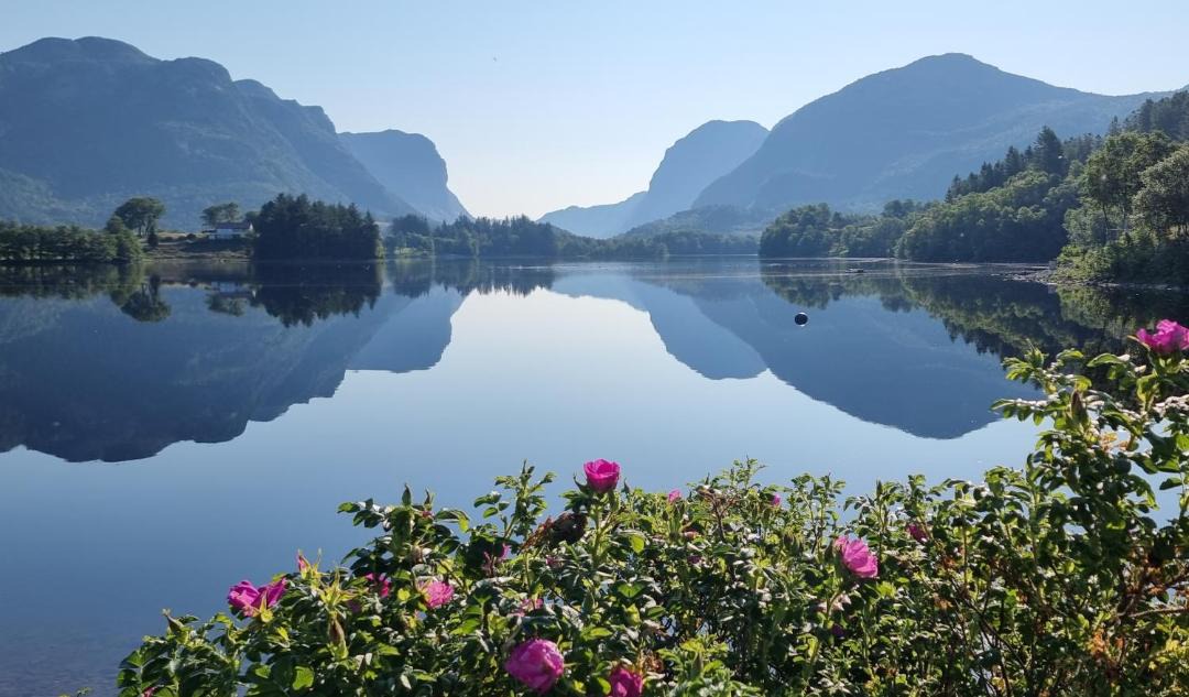 Photo of Others in Bjørheimsbygda