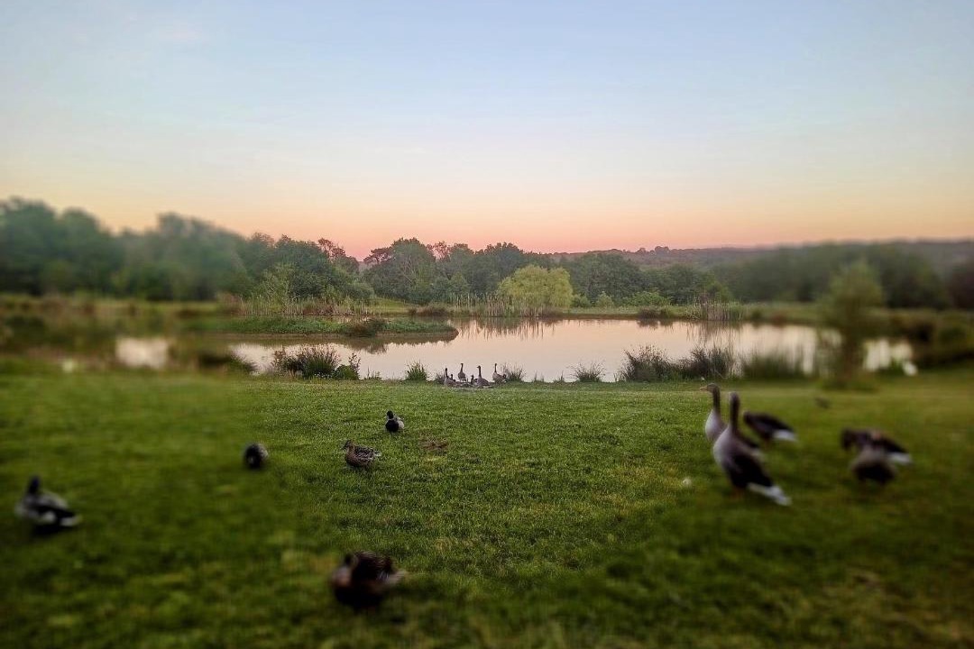 Photo of Others in Hadlow Down