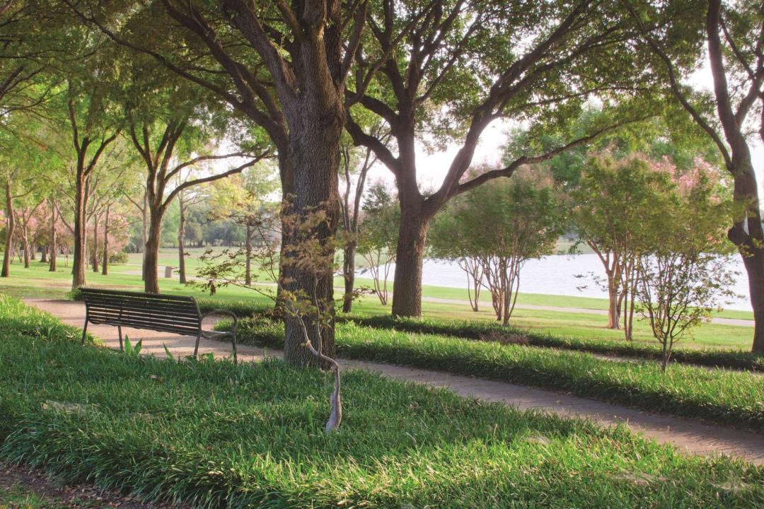 Photo of Others in Farmers Branch