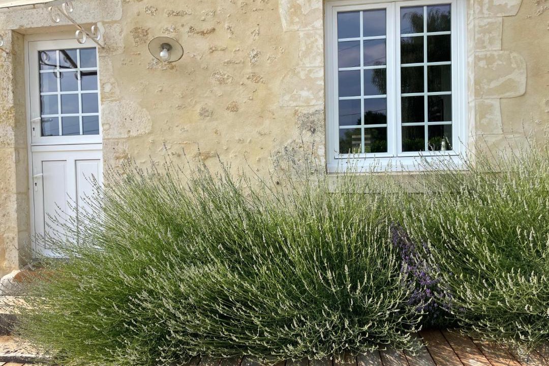Photo of Buildings in Saint-Martin-du-Vieux-Belleme