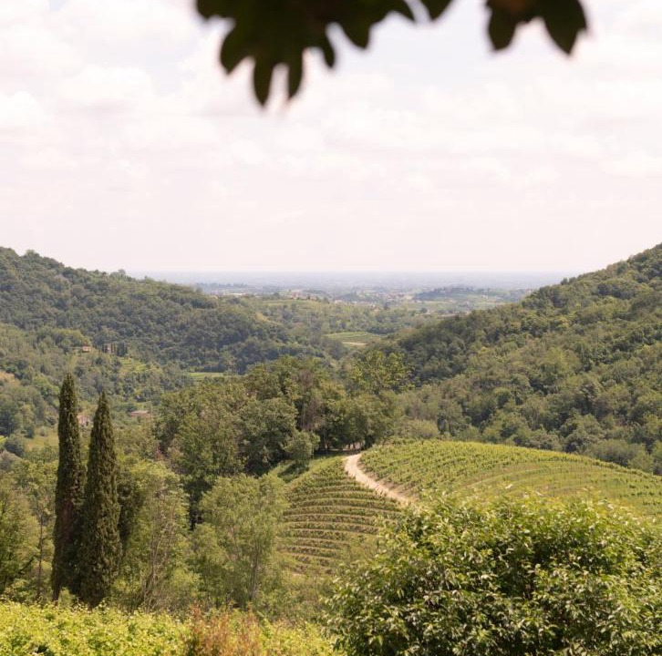 Photo of Outdoor in Tarzo