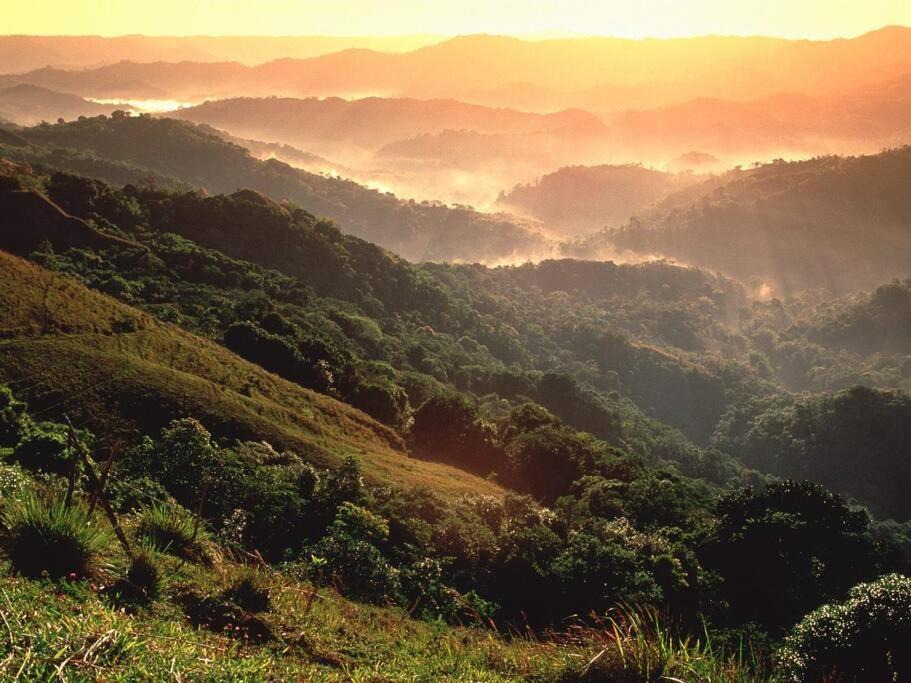Photo of Outdoor in San Isidro
