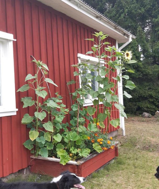 Photo of Others in Klatten