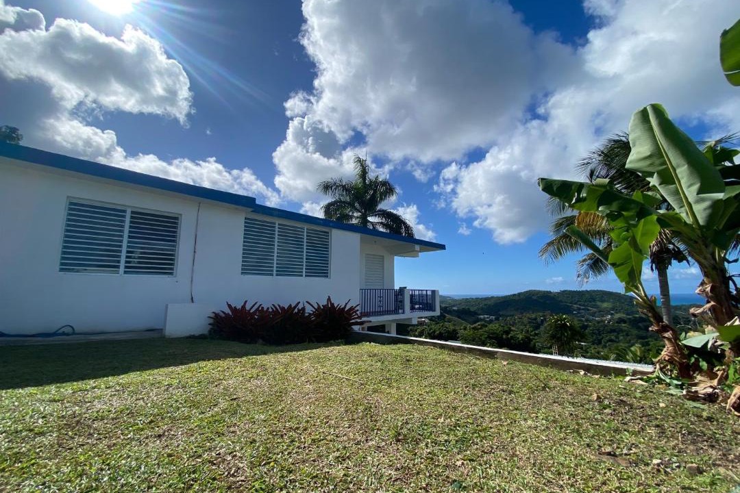 Photo of Others in Luquillo