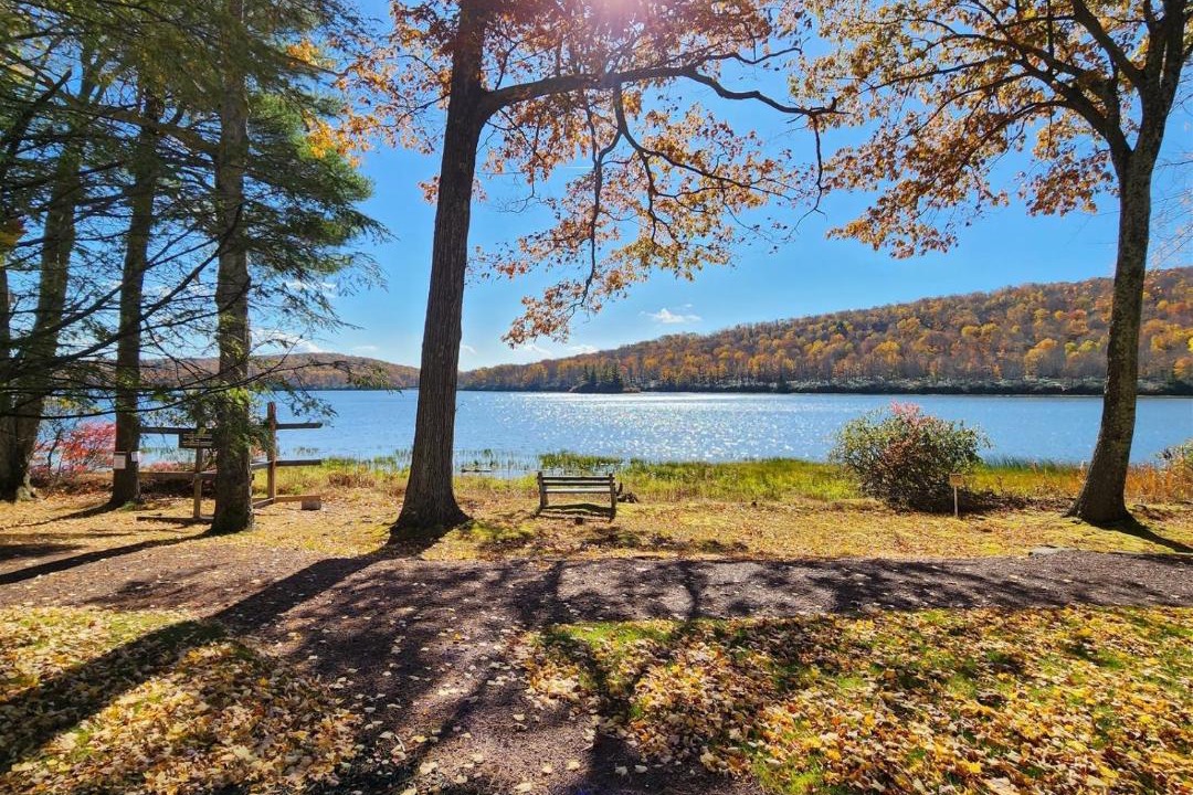 Photo of Others in Lake Harmony