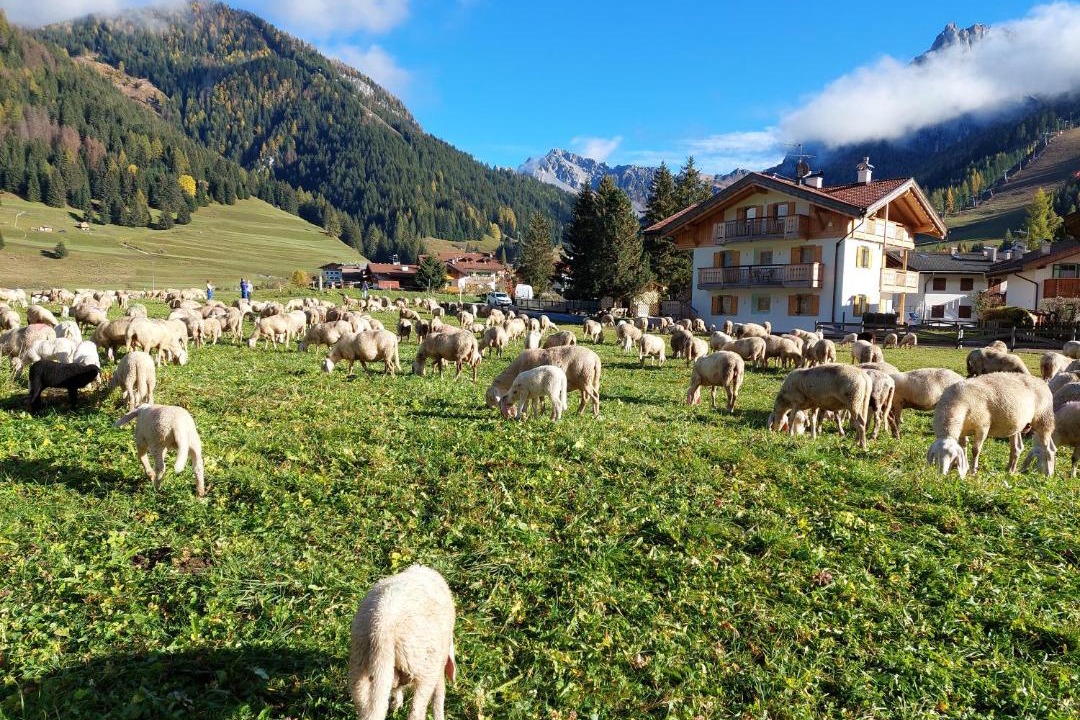 Photo of Others in San Giovanni di Fassa
