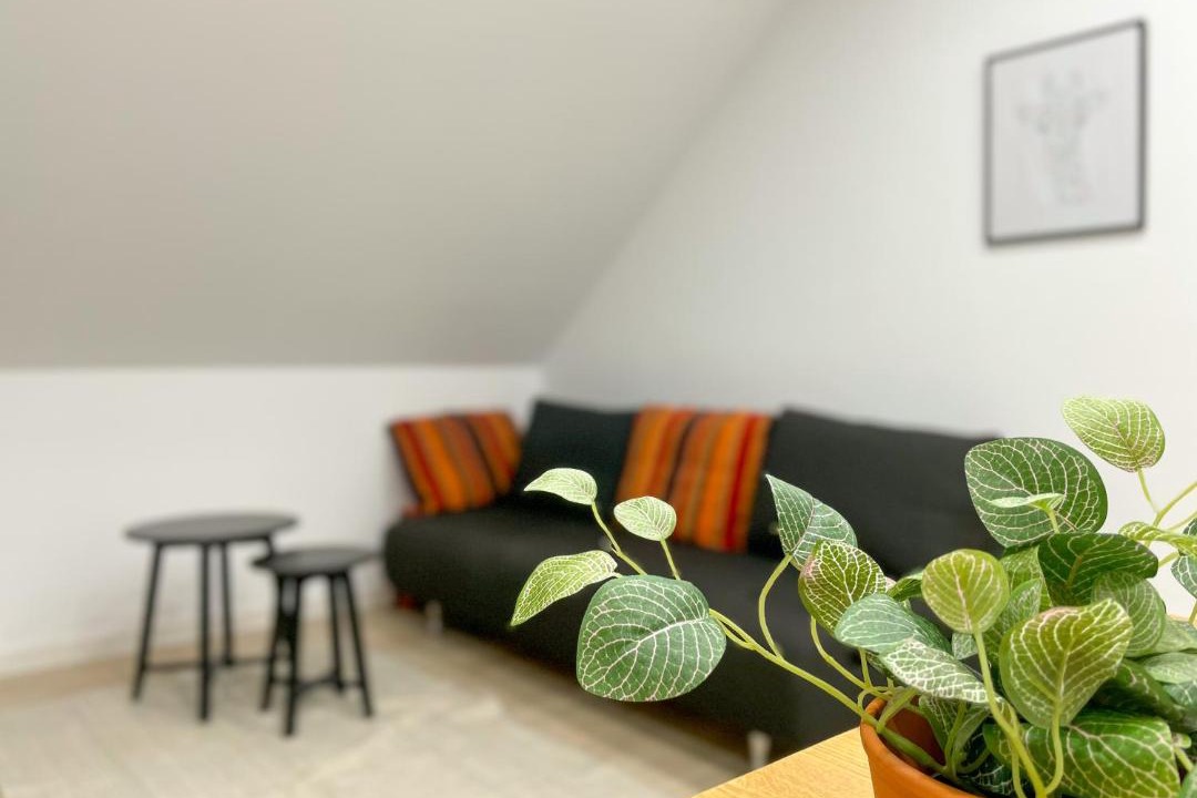 Photo of Livingroom in Polch