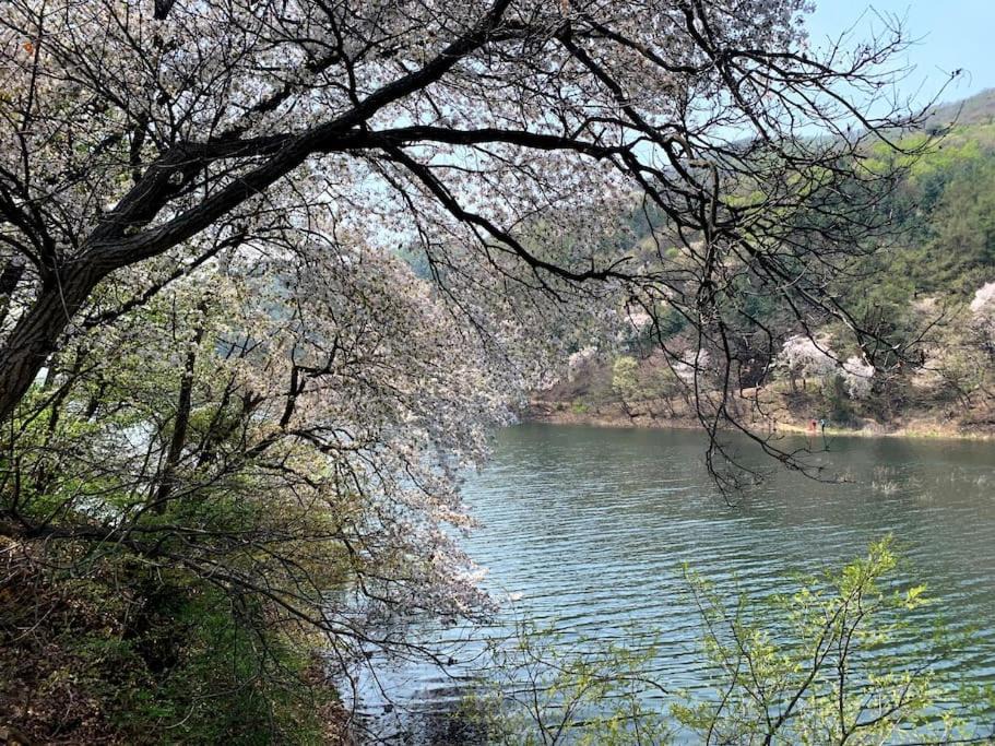 Photo of Outdoor in Anseong