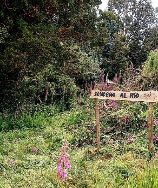 Photo of Outdoor in Ancud