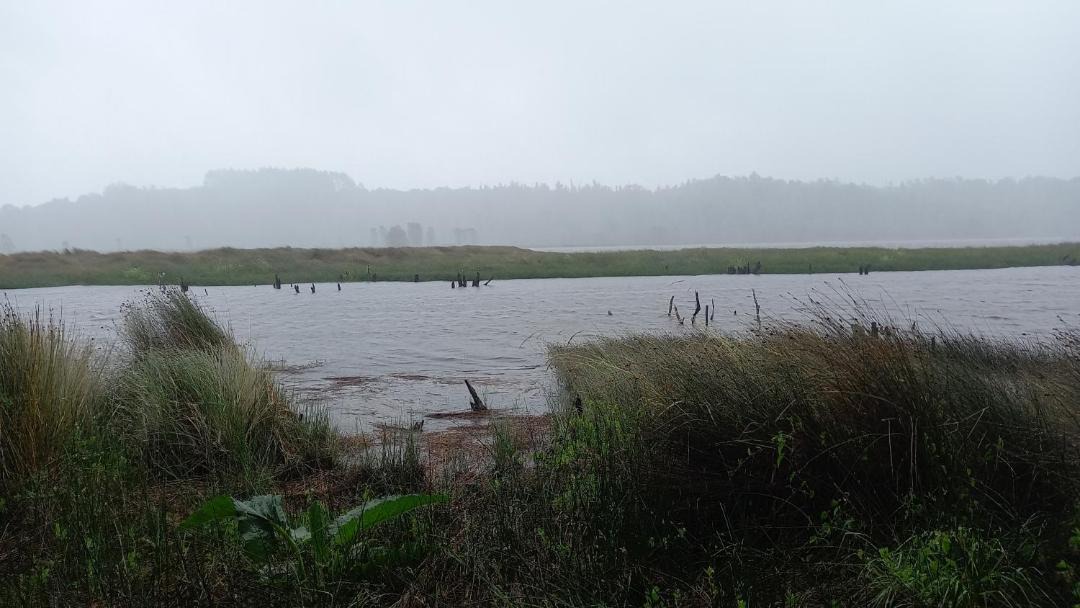 Photo of Outdoor in Ancud
