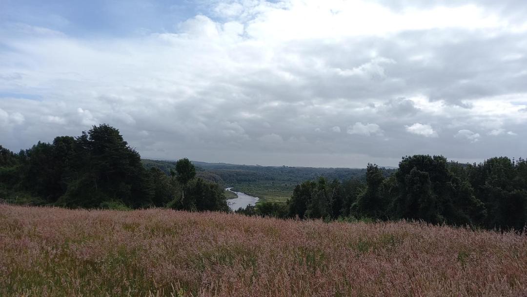 Photo of Outdoor in Ancud