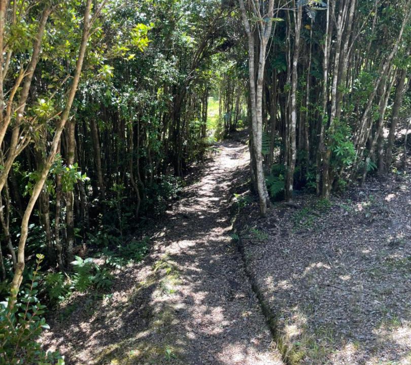 Photo of Outdoor in Pucatrihue