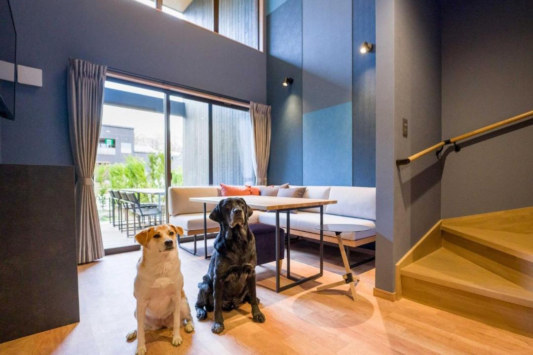 Photo of Livingroom in Shinkashio Onsen