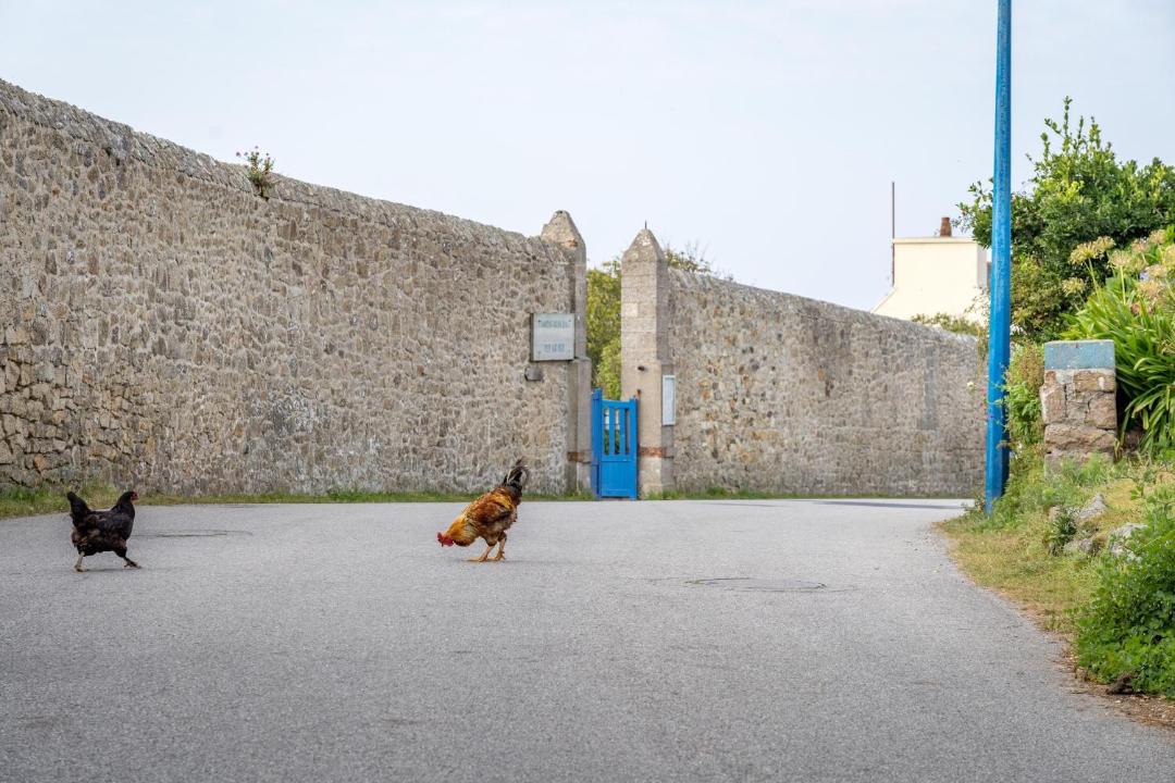 Photo of Buildings in Ushant