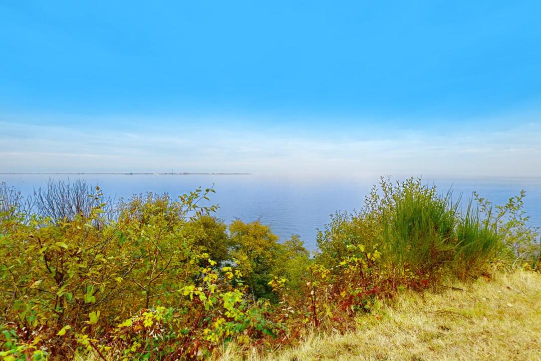 Photo of Others in Port Angeles East
