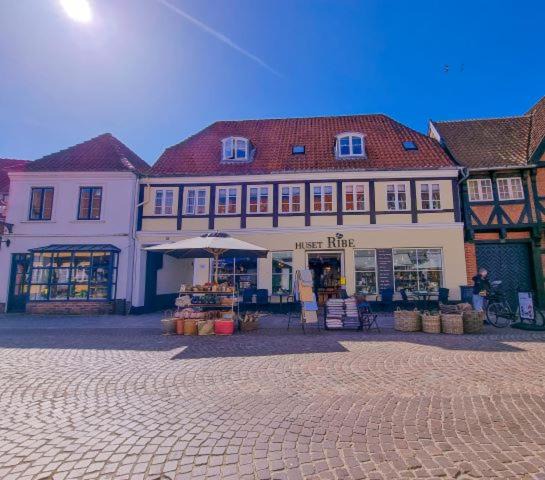 Photo of Others in Ribe