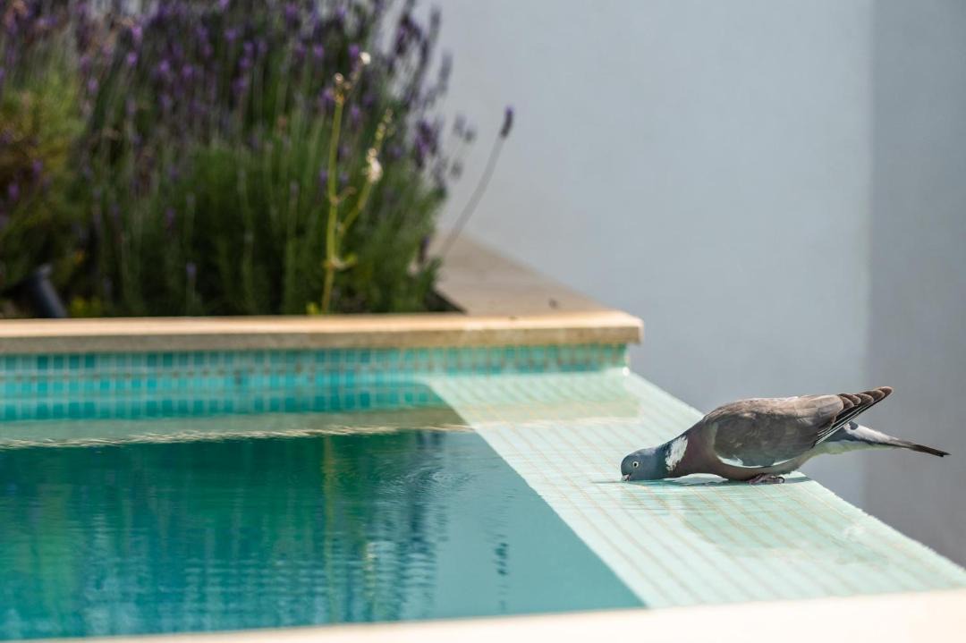 Photo of Outdoor in Costa de la Calma