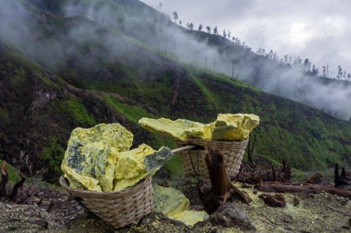 Photo of Others in Kalipuro