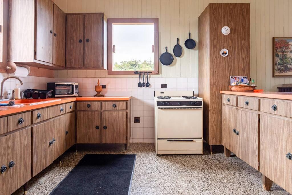 Photo of Kitchen in San Patricio