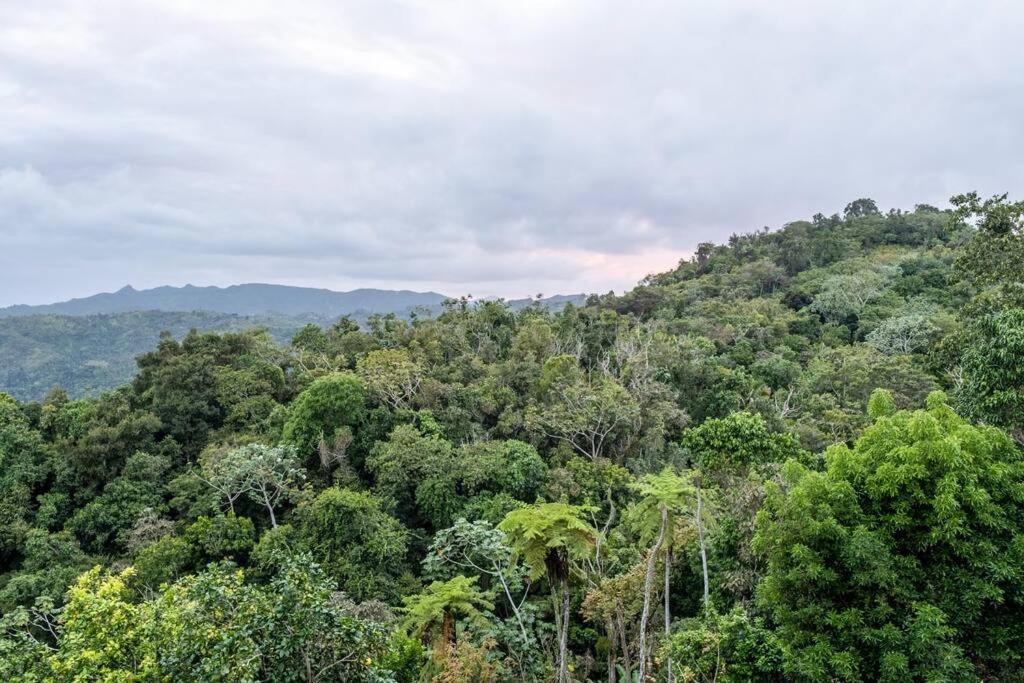 Photo of Outdoor in San Patricio