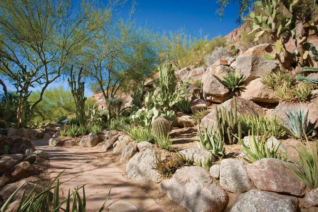 Photo of Others in Camelback East