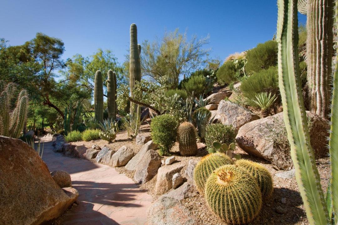 Photo of Others in Camelback East