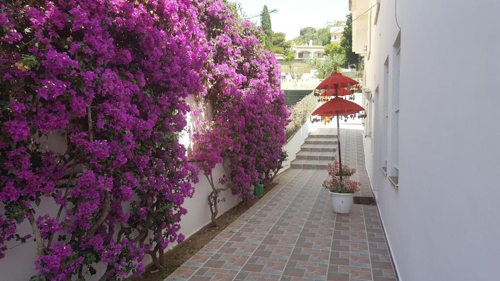 Photo of Others in Sitges