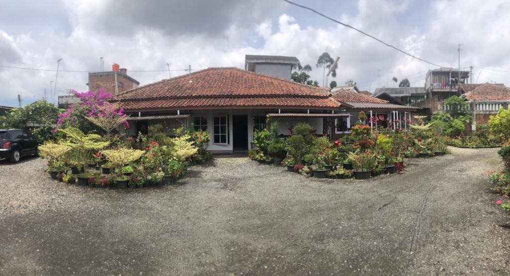Photo of Buildings in Ciwidey