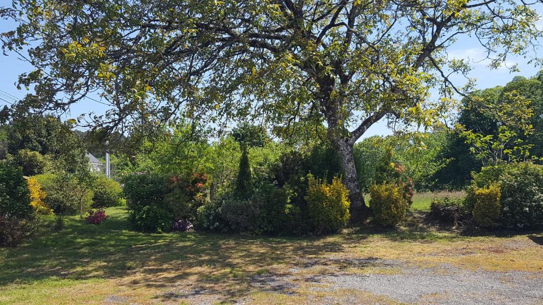 Photo of Outdoor in Quistinic