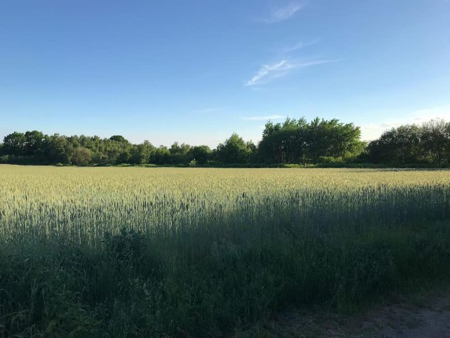 Photo of Outdoor in Glinde