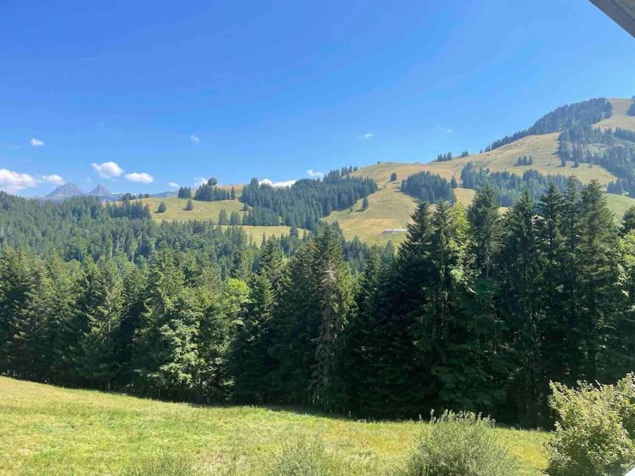 Photo of Outdoor in Moleson
