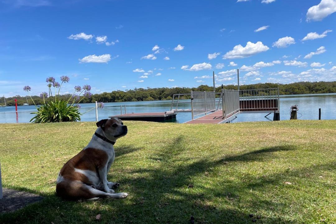 Photo of Others in Myola