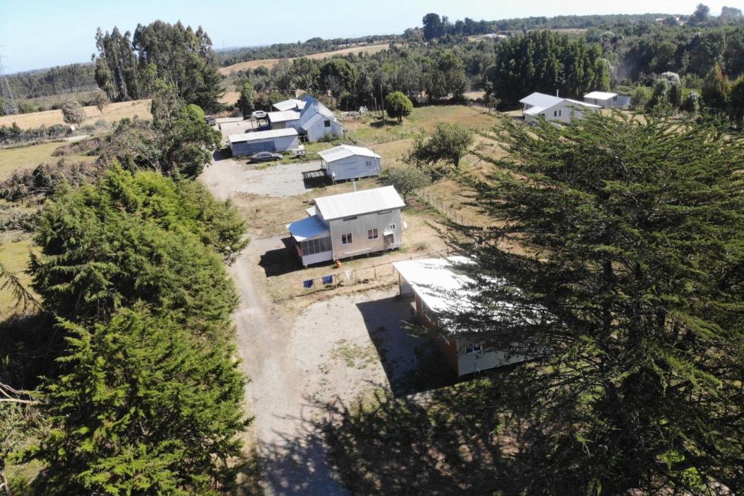 Photo of Others in Ancud