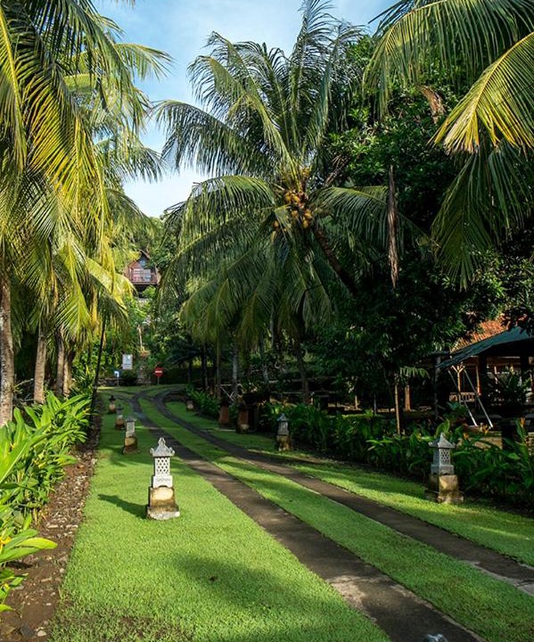 Photo of Outdoor in Kalipuro