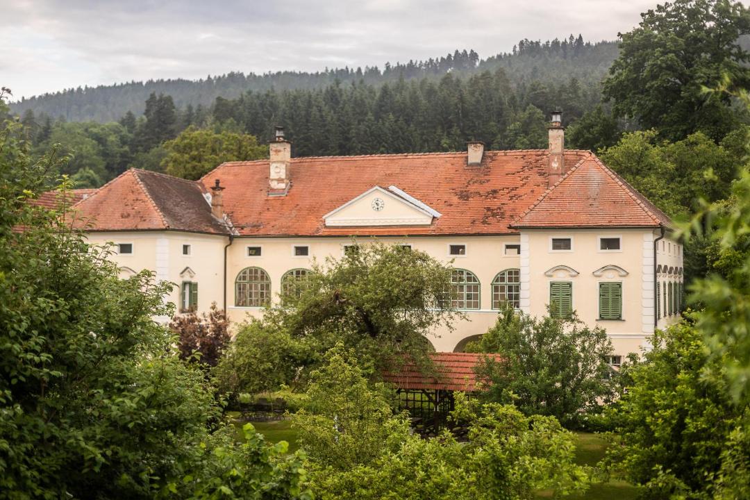 Photo of Buildings in Magdalensberg